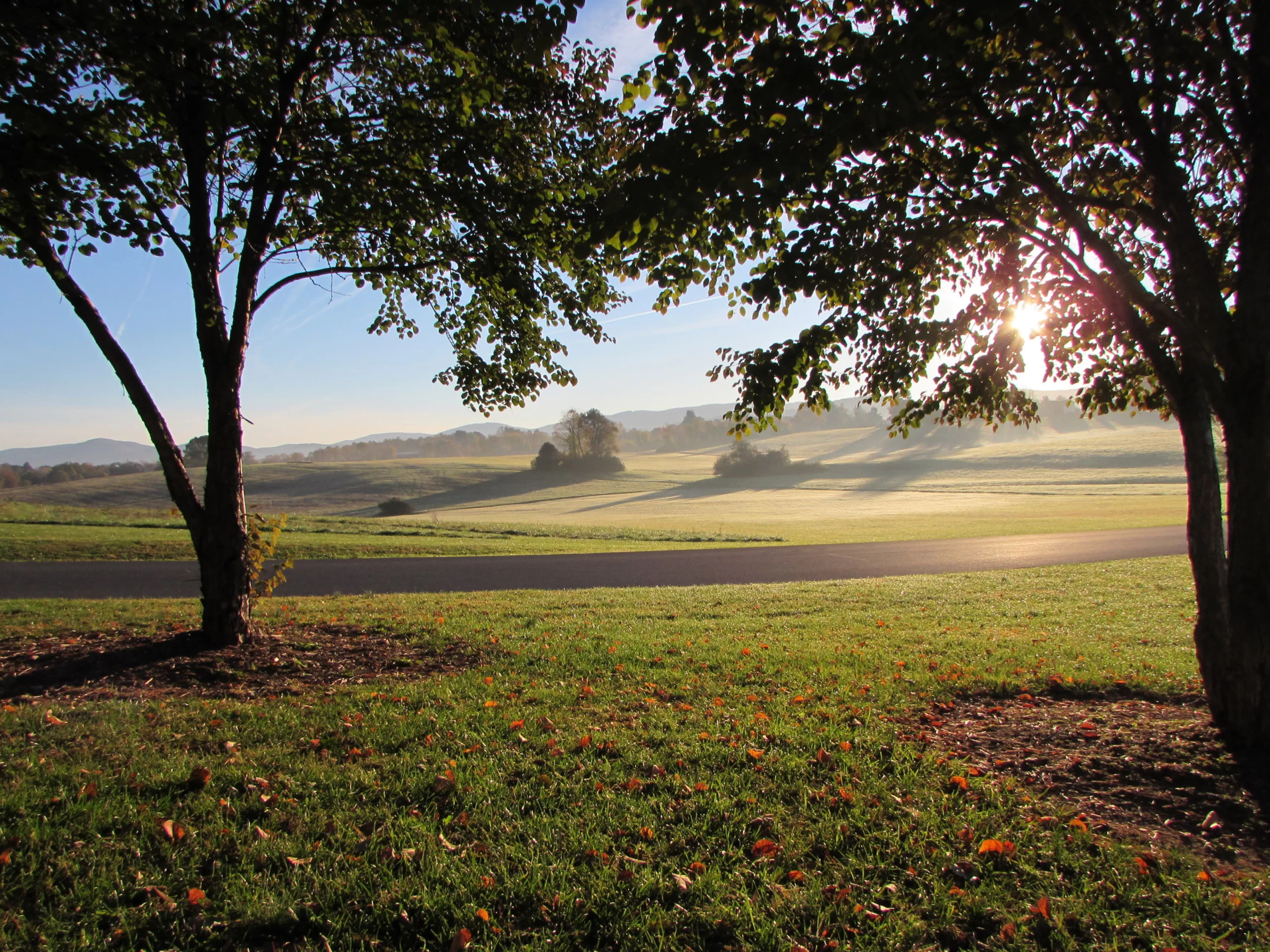 Coyner Springs Park - Get Outdoors - City Parks