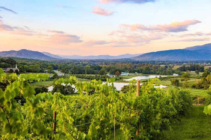 Valley Road Vineyards - Eat & Drink - Craft Beverages